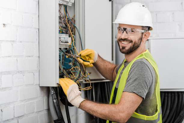 Best Home Electrical Repair  in Third Lake, IL